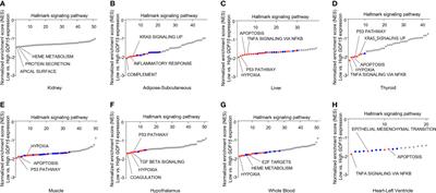 Cell non-autonomous effect of hepatic growth differentiation factor 15 on the thyroid gland